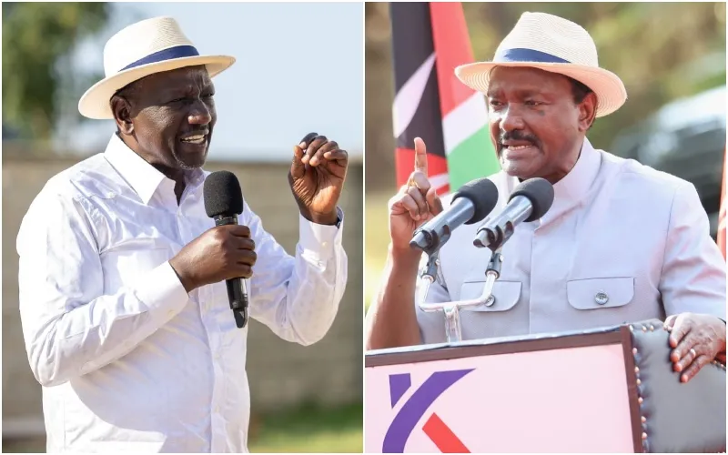 Kalonzo Musyoka insists he's not going to work with President William Ruto. Photo|courtesy.