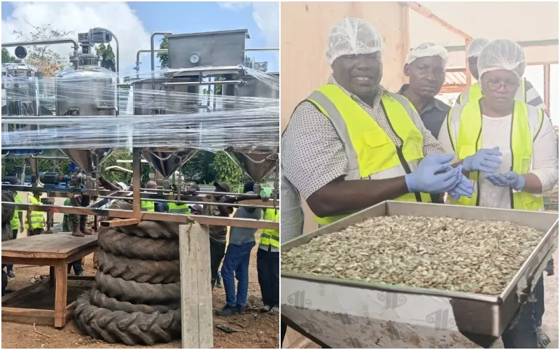 Lamu County Government collaborated with the Nuts and Oil Crops Directorate (AFA). photo| courtesy.