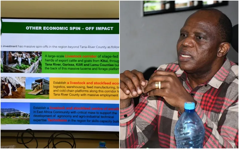 Tana River County plans to venture into the cultivation of lucern. Photo|courtesy.