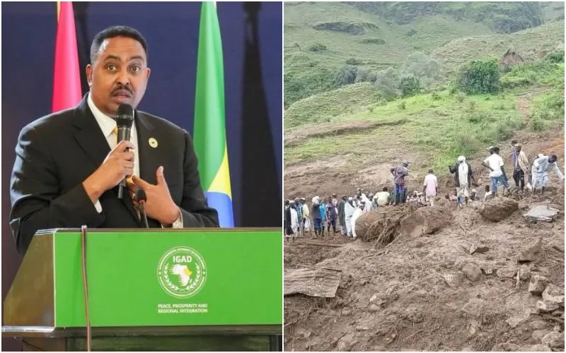 The Sudan landslide has killed over 1,000 in Jebel Marra, Darfur. Photo|courtesy.