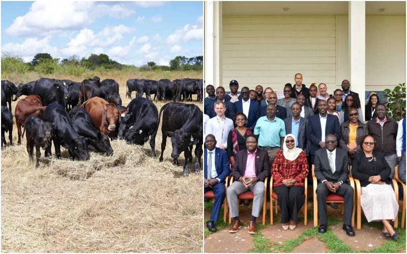 The launch of the Accelerating Reduced Emissions in Indigenous Breeds in Africa initiative at the ILRI campus, Nairobi. Photo|Saleef Nyambok/ILRI.